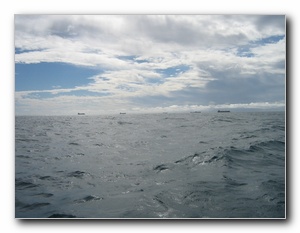 Click to enlarge
