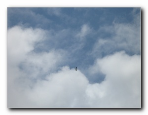 Click to enlarge