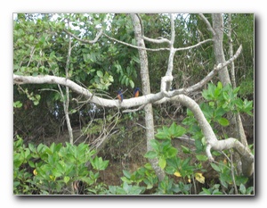 Click to enlarge